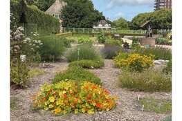 Groente- en Kruidendag met minimarkt, straattheater en lezingen