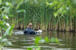 Schaap gered uit sloot door duikers in Heemskerk