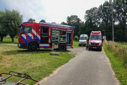 Schaap gered uit sloot door duikers in Heemskerk