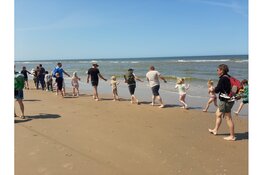 Korren op het strand van Heemskerk- Ontdek wat er leeft in de Noordzee!