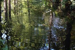 Waterspiegelingen van Petra Biere in het Koetshuijs