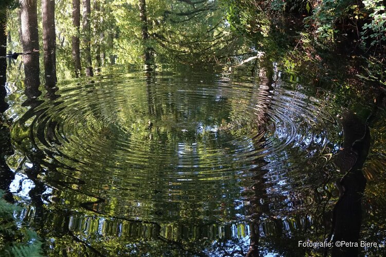 Waterspiegelingen van Petra Biere in het Koetshuijs