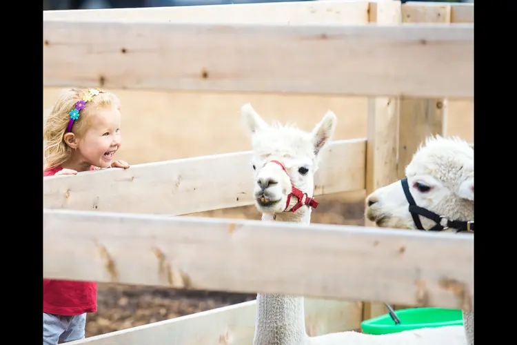 Dierendorp gaat veranderen! Kom je kijken naar de plannen?