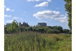 Herfstwandeling in Park Assumburg