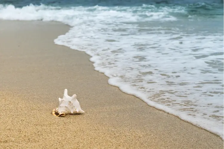 Heemskerks strand opnieuw bekroond met vier sterren