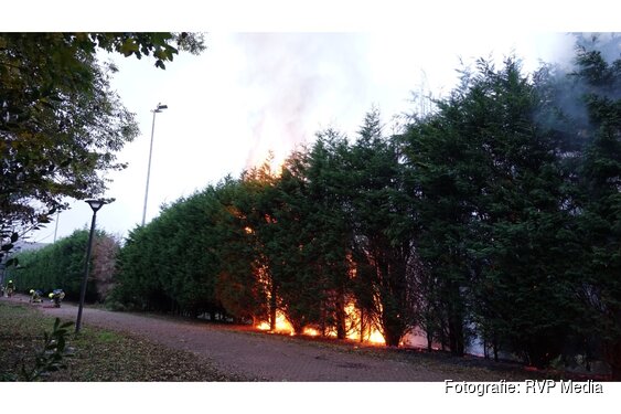 Coniferenhaag vliegt in brand bij zwembad in Heemskerk