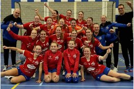 DSS langzaam terug in oude vorm en wint met ruime cijfers