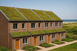 Groene daken in Heemskerk beschermen beter tegen regen en stormschade