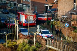Tevergeefse zoekactie naar schaap in nood