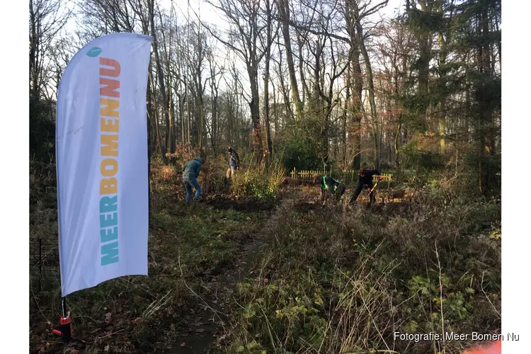 Gezond het nieuwe jaar in met Meer Bomen Nu