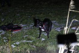 Hondje zwemt ijskoude sloot over en wordt door brandweer van weiland gered