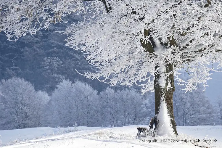 Kom jij ook naar de winterse activiteit op Kinderboerderij de Baak?