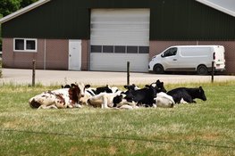 Waarde landbouwexport ruim 8 procent hoger in 2025