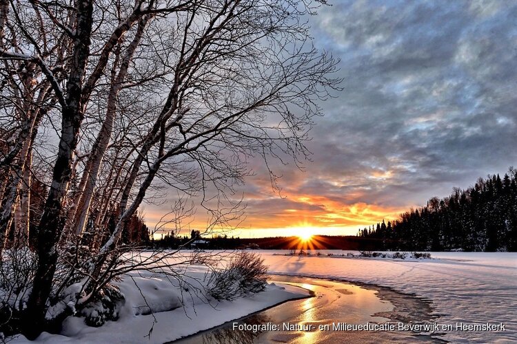 Wil jij van alles leren over het weer? Kom dan woensdag 4 februari a.s. naar Kinderboerderij Dierendorp