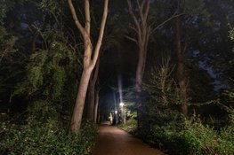 Aanpak sociale veiligheid provincie: meldpunt, kleine maatregelen en structurele aanpak