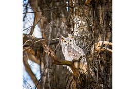 Heb jij altijd al willen weten waarom sommige dieren soms bijna onzichtbaar zijn? Kom dan op woensdagmiddag 25 februari naar Kinderboerderij De Baak