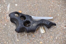 Strandjutten - Wat belandt er op het strand?