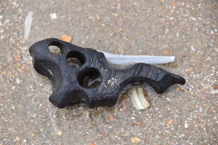 Strandjutten - Wat belandt er op het strand?