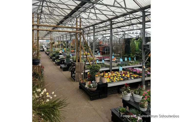Het tuinseizoen komt tot leven bij Tuincentrum Schoutenbos
