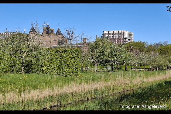 "Sfeervolle wandeling in Park Assumburg