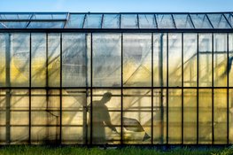 Dorpsfotograaf en dorpsdichter vangen Heemskerkse kas in woord en beeld