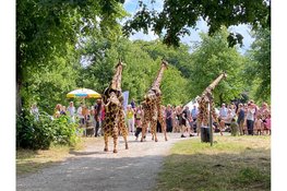 Zomerfestival Marquette op zondag 19 juli 2026