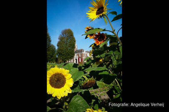 Moestuin Marquette groeit door: tweede seizoen van start op landgoed Château Marquette