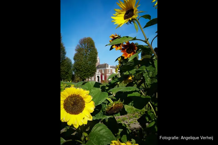 Moestuin Marquette groeit door: tweede seizoen van start op landgoed Château Marquette