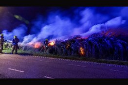 Fikse brand in rietkraag Heemskerk