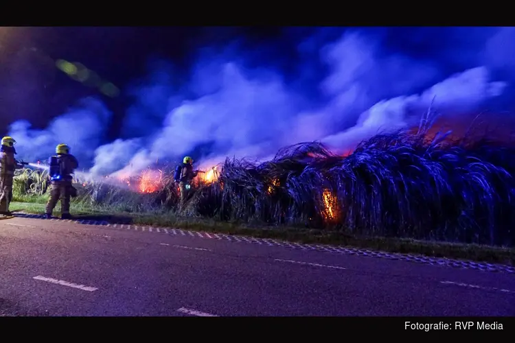 Fikse brand in rietkraag Heemskerk