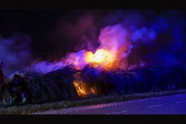 Fikse brand in rietkraag Heemskerk