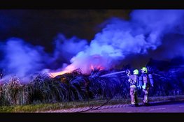 Fikse brand in rietkraag Heemskerk