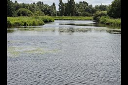 Beleef zomerse natuur en historie in Park Assumburg!
