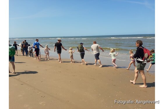 "Korren op het strand van Heemskerk- Ontdek wat er leeft in de Noordzee!