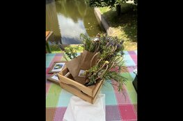 Groente- en Kruidendag met minimarkt, straattheater, rondleiding en lezingen