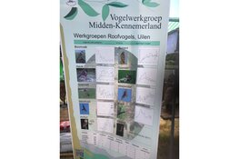 Laatste Zomerpodium Marquette neemt afscheid van vertrouwde locatie