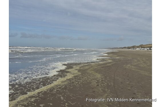 Ontdek de verborgen wereld van het Heemskerkse strand