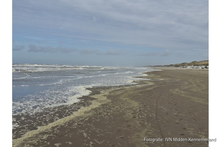 Ontdek de verborgen wereld van het Heemskerkse strand