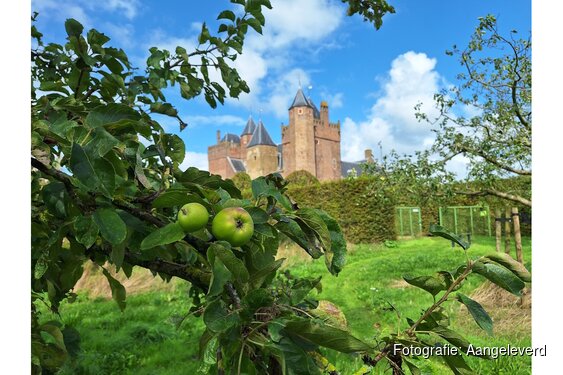 Leuke middag over appels voor kinderen naast Kasteel Assumburg