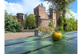 Leuke middag over appels voor kinderen naast Kasteel Assumburg