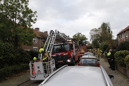 Boom valt op woonhuis in Heemskerk